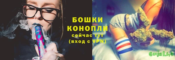 дживик Аркадак