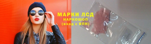 дживик Аркадак