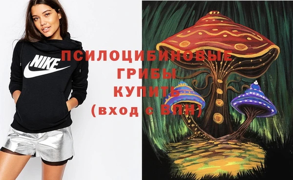 мдпв Краснотурьинск